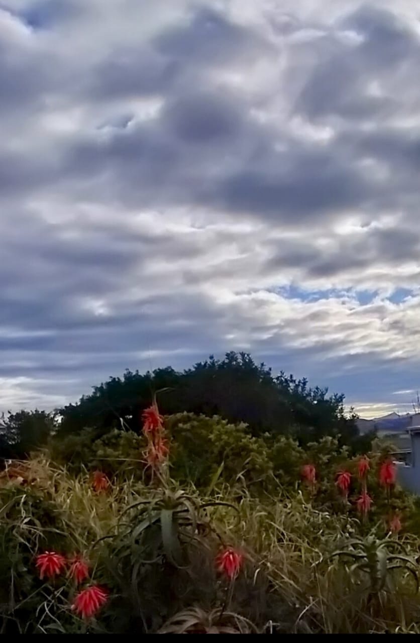 0 Bedroom Property for Sale in Fraaiuitsig Western Cape